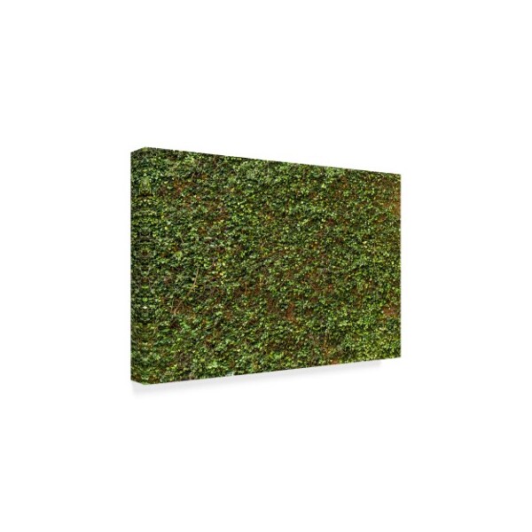 1X Prints 'Green Ivy Leaves Wall' Canvas Art,22x32